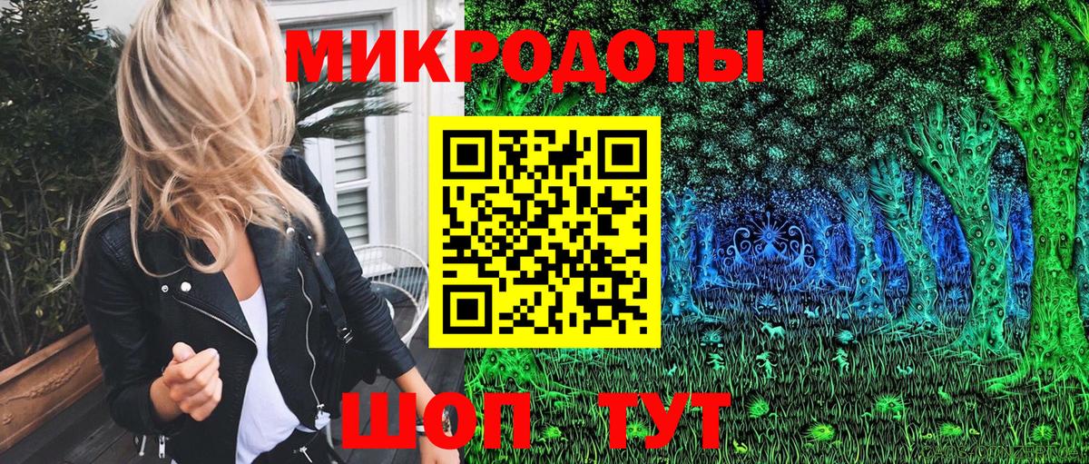 Звенигород  Галлюциногенные грибы Psilocybe  Вход с VPN 