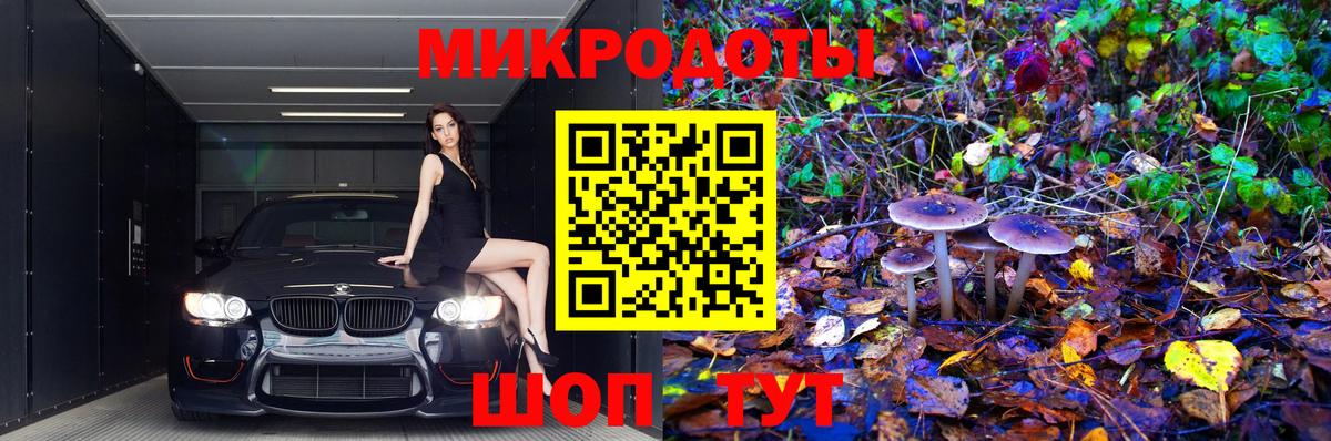 Галлюциногенные грибы Psilocybe Звенигород